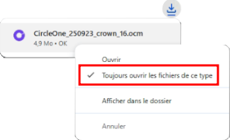 Chrome autolanch configuration